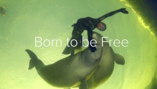 Born To Be Free